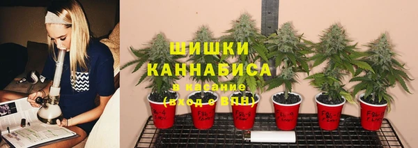 кокс Абдулино