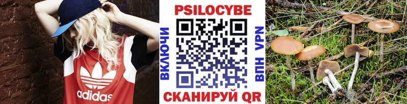 кракен зеркало  Зерноград  Галлюциногенные грибы Magic Shrooms 
