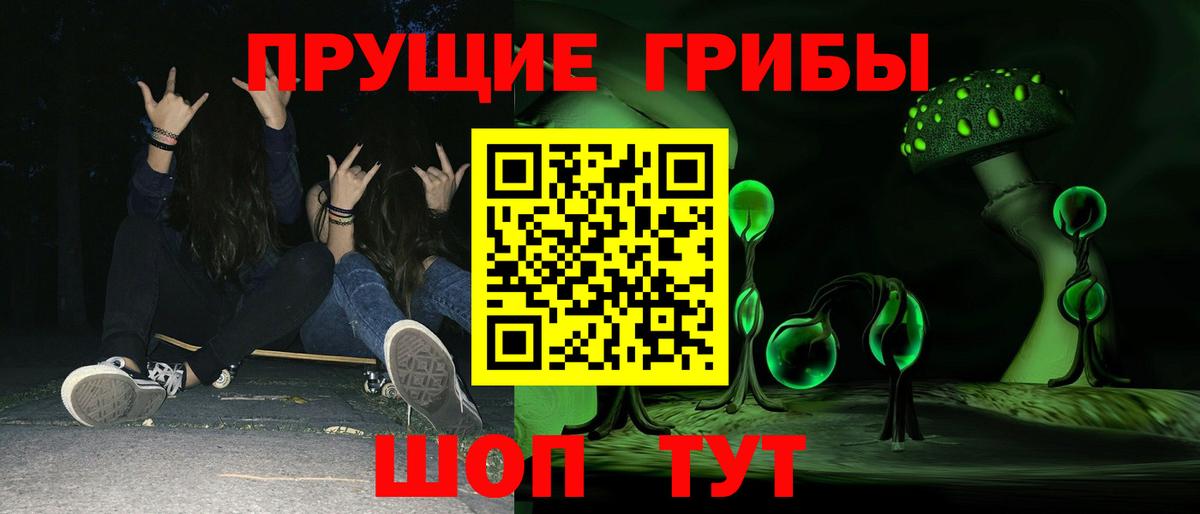 Галлюциногенные грибы Psilocybe Зерноград